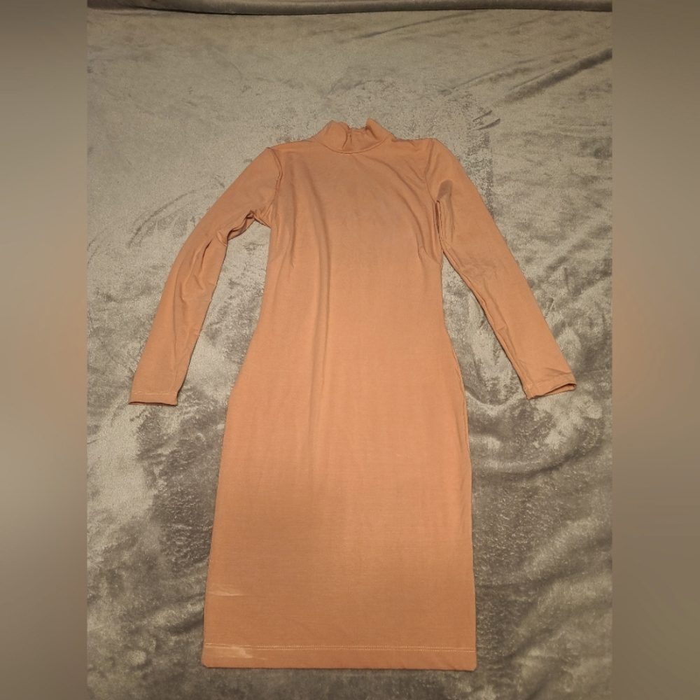 Erika Turtleneck Dress